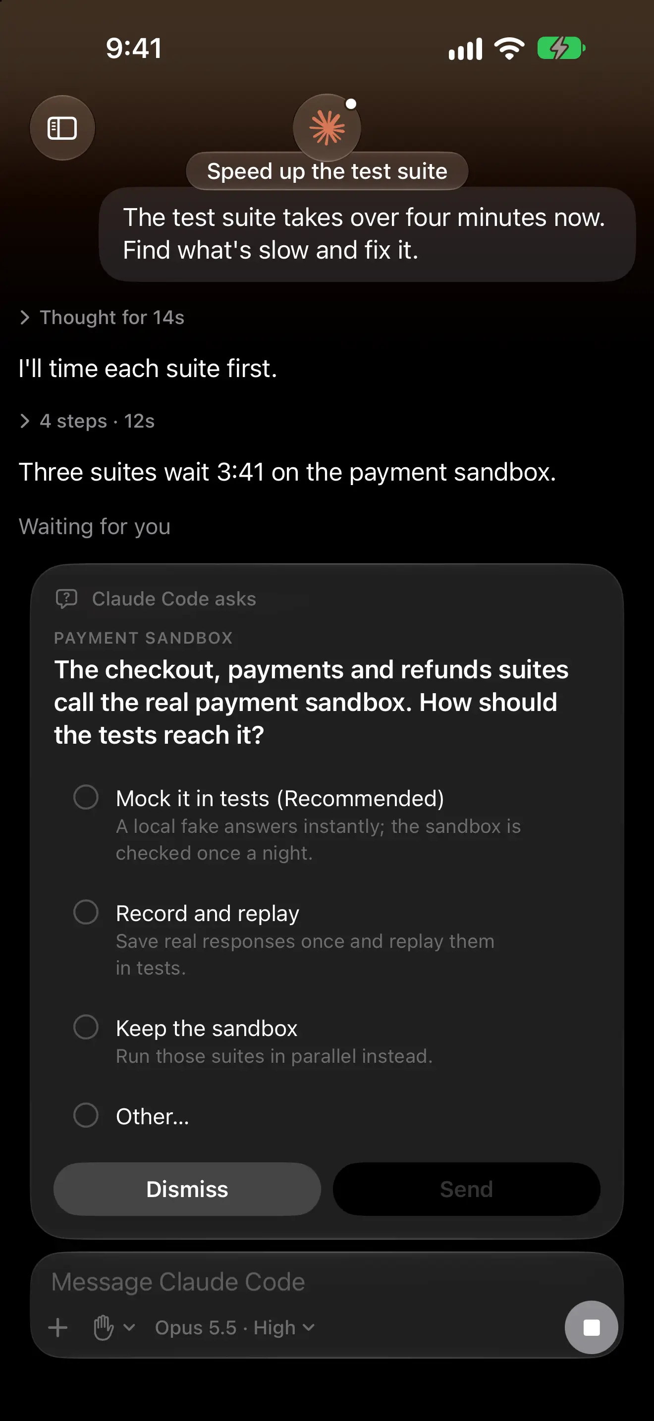 Portals on an iPhone: Claude Code asking how the tests should reach the payment sandbox, with three options to pick from.